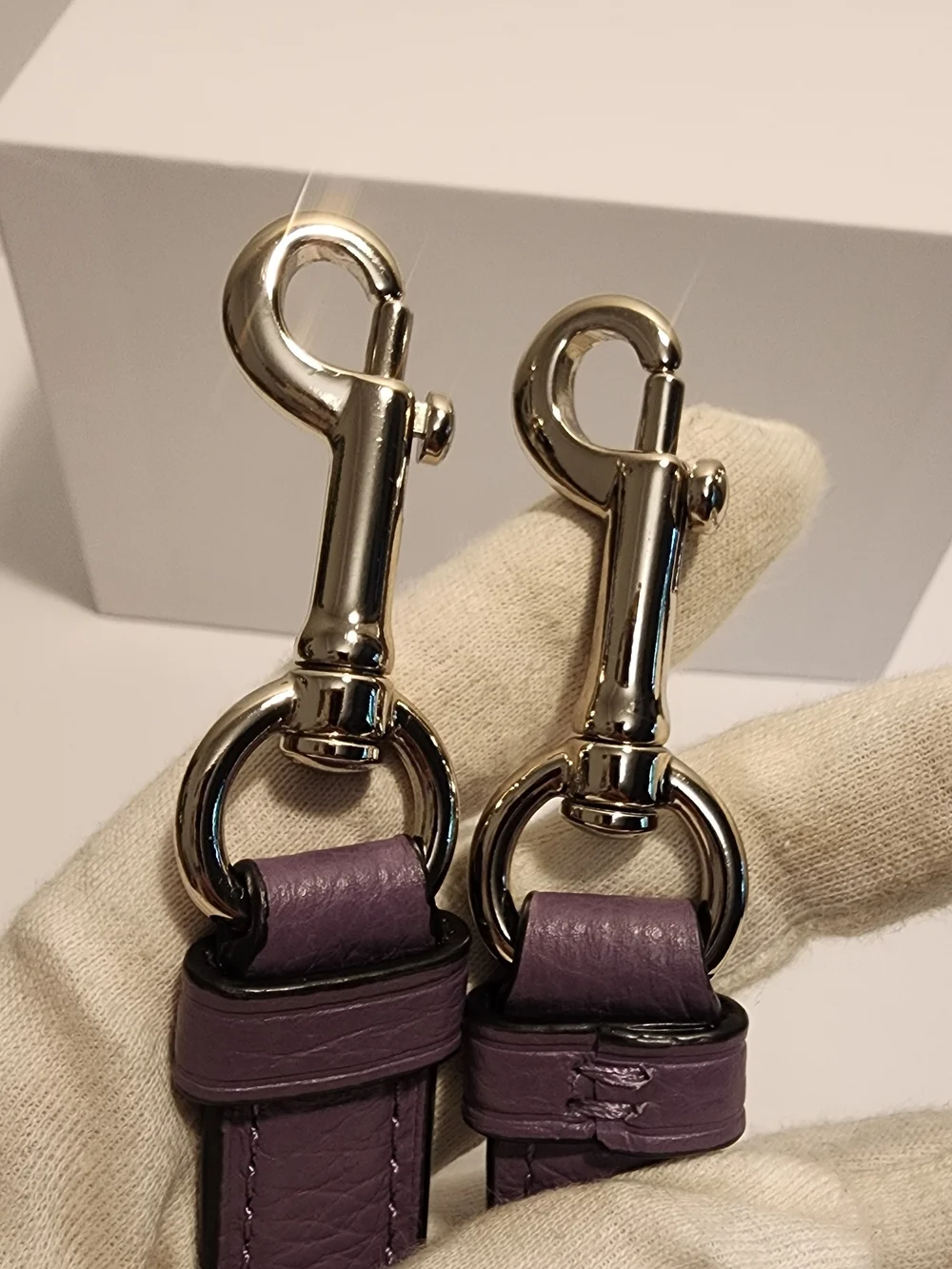 Coach Replacement Strap